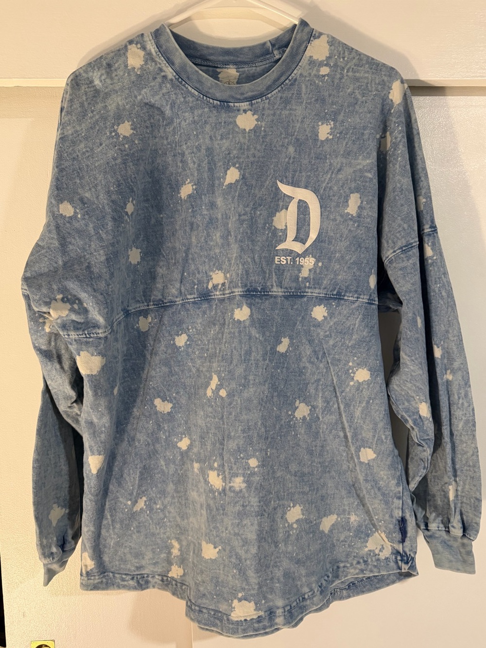 Disneyland Spirit Jersey
